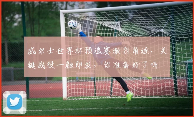 威尔士世界杯预选赛激烈角逐，关键战役一触即发，你准备好了吗