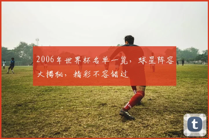 2006年世界杯名单一览，球星阵容大揭秘，精彩不容错过