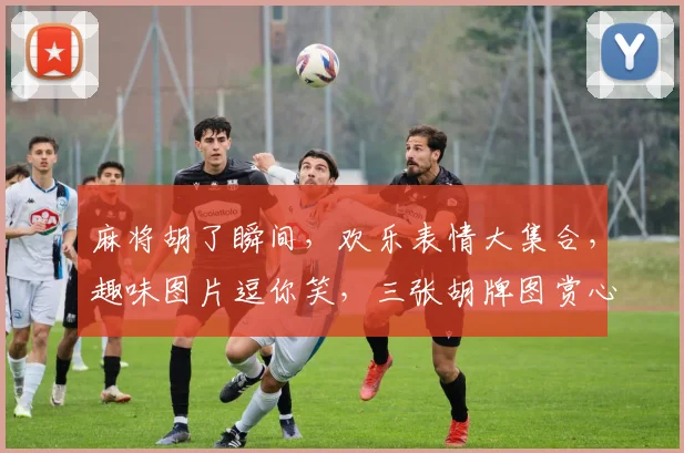 麻将胡了瞬间，欢乐表情大集合，趣味图片逗你笑，三张胡牌图赏心悦目