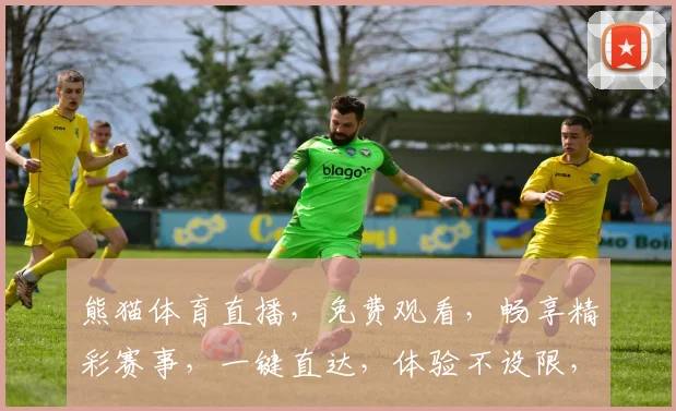 熊猫体育直播，免费观看，畅享精彩赛事，一键直达，体验不设限，三重惊喜，不容错过